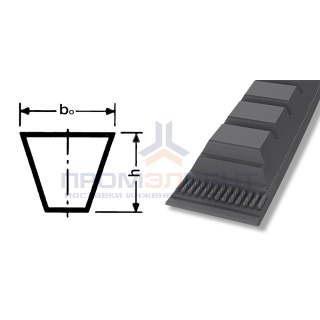 ремень xpa 2582