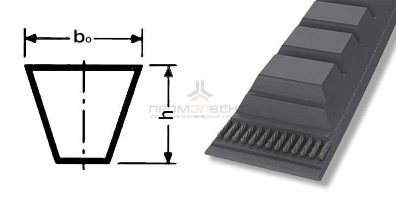 ремень xpa 2882