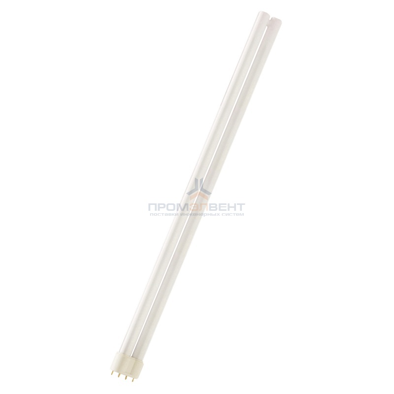 Лампа Philips MASTER PL-L 55W/865/4P 2G11 дневной свет