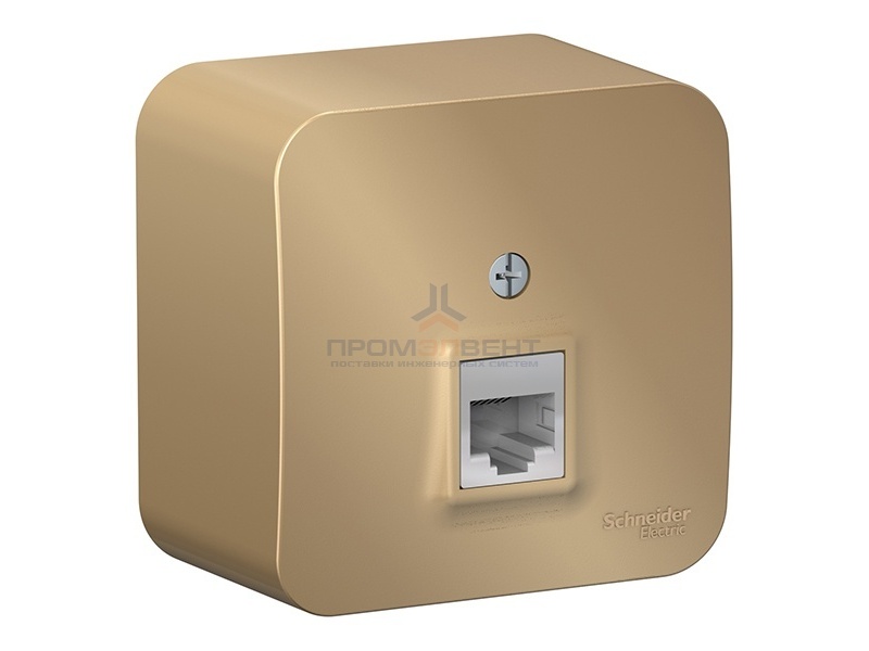 Розетка телефонная RJ11 Blanca Schneider Electric титан изол.пластина