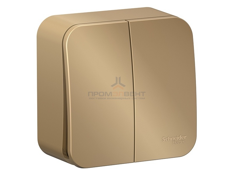 Выключатель 2-клавишный (cх.5) Blanca Schneider Electric 10А 250В титан изол.пластина